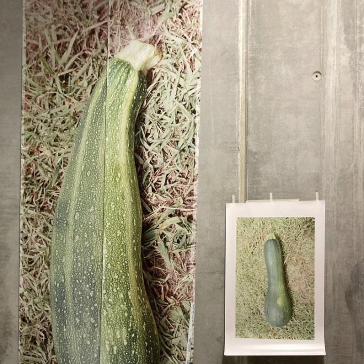 Kunstwerk van Quinten Vermeulen