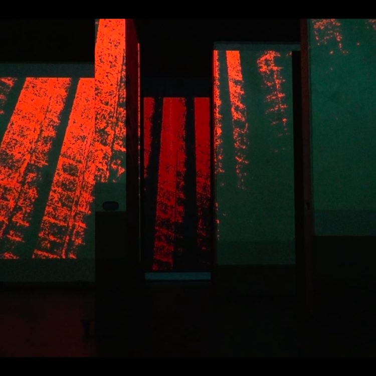 Installatie van het collectief Rhizoma