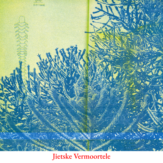 Groepsexpo De Tank Our language